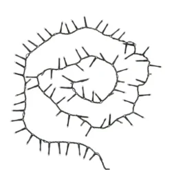 Maisons Du Monde Guirlandes Et Cimiers Guirlande Lumineuse Intérieur/extérieur 18M