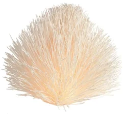 Now’s Home Lampes à Poser Lampe à Poser En Rotin H47