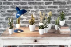 Present Time Lampes à Poser Lampe De Table Hood Métal Noir -Luminaires Soldes 202 lampe de table hood metal noir 4